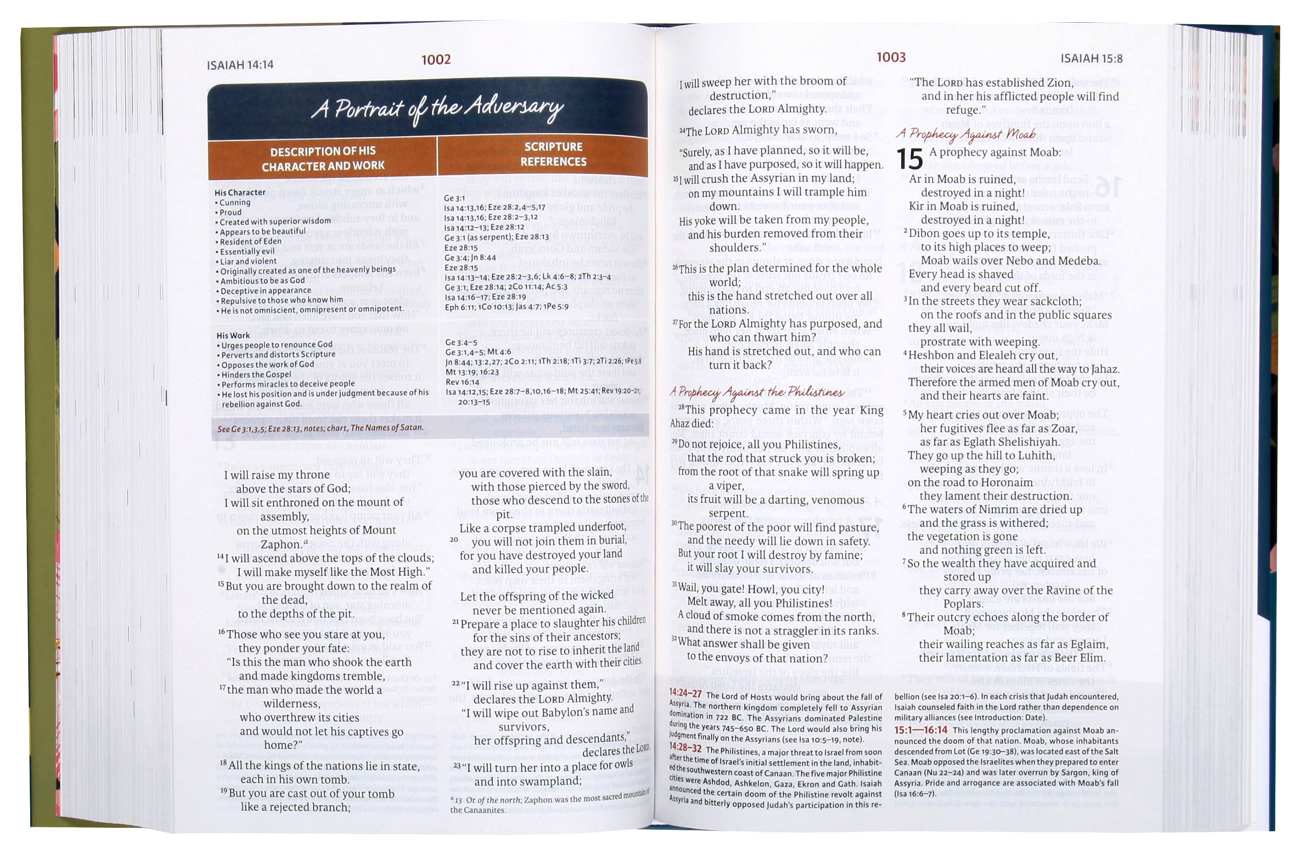 NIV Woman's Study Bible Full-Color