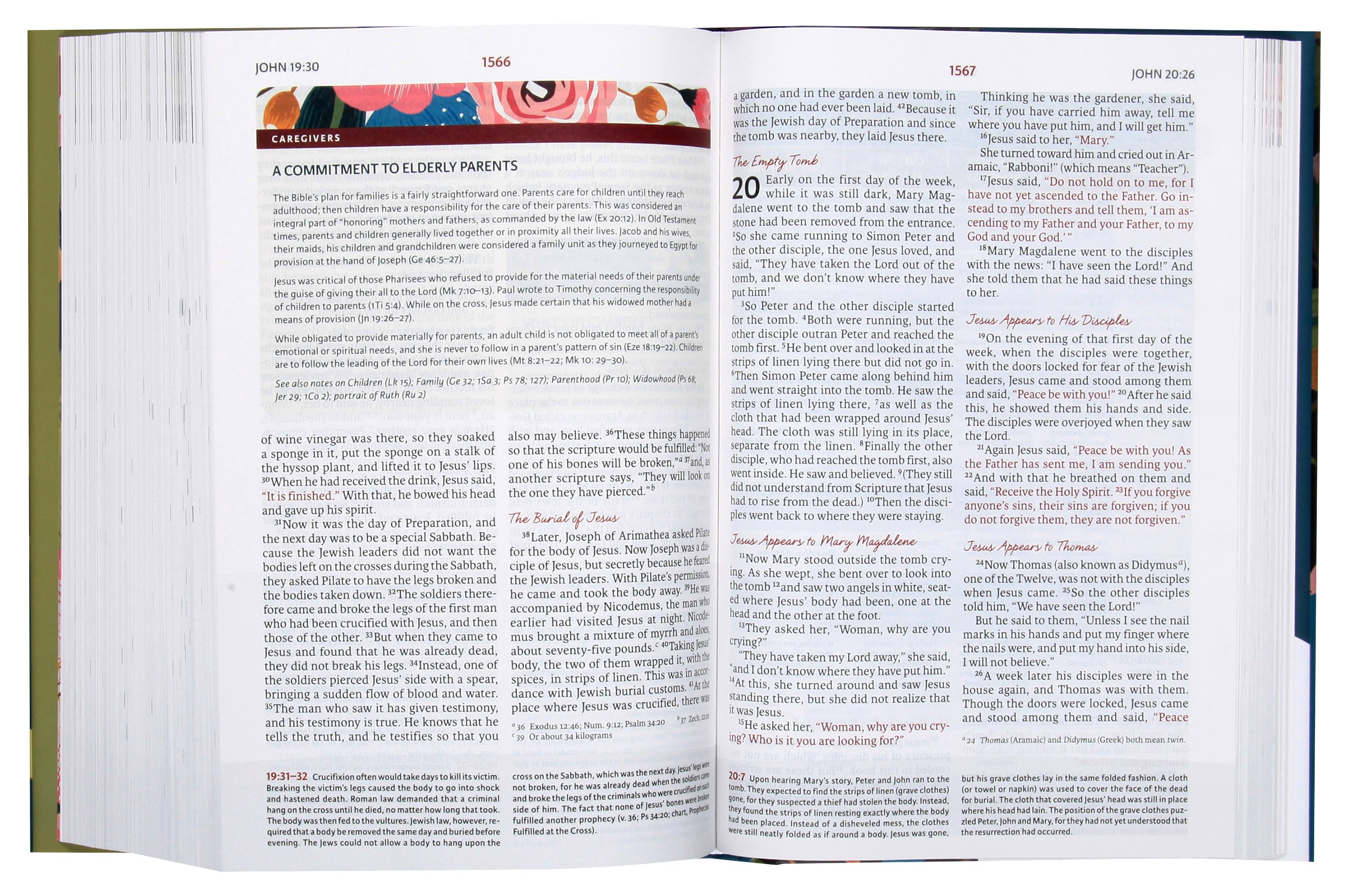 NIV Woman's Study Bible Full-Color