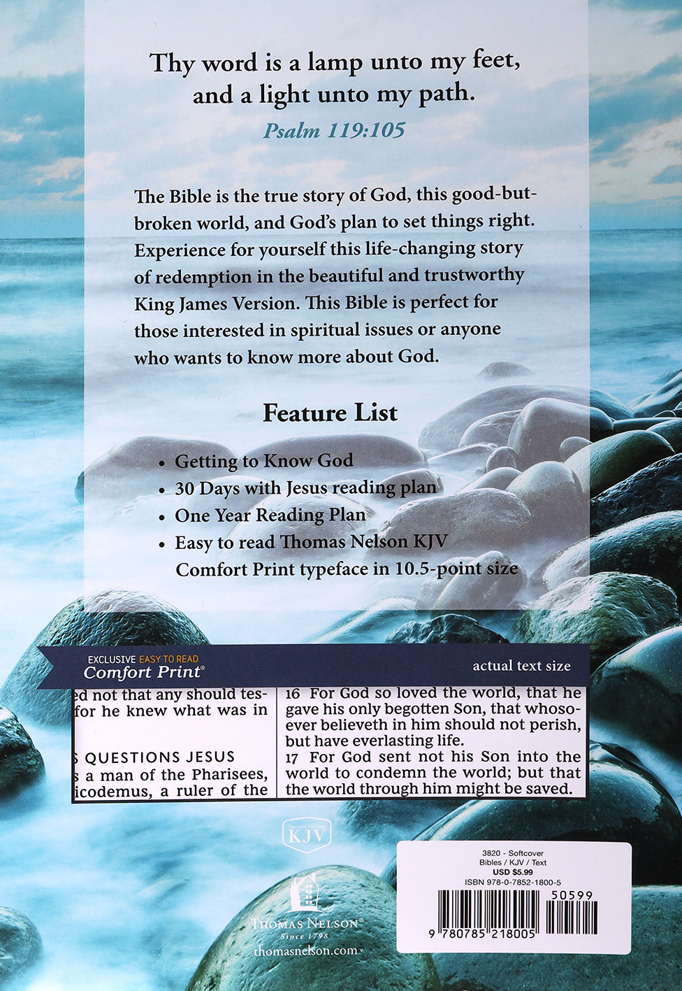 KJV Holy Bible Larger Print