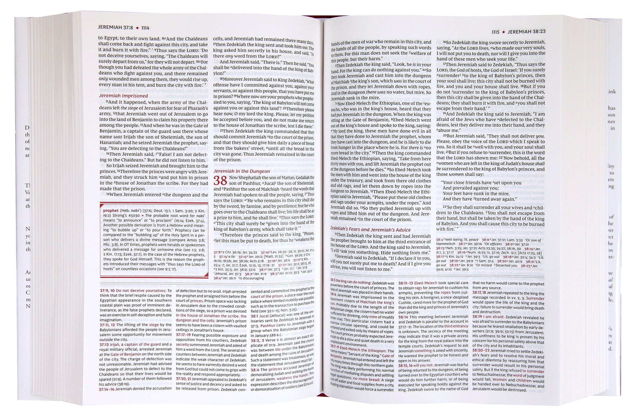 NKJV Study Bible Brown (Black Letter Edition)