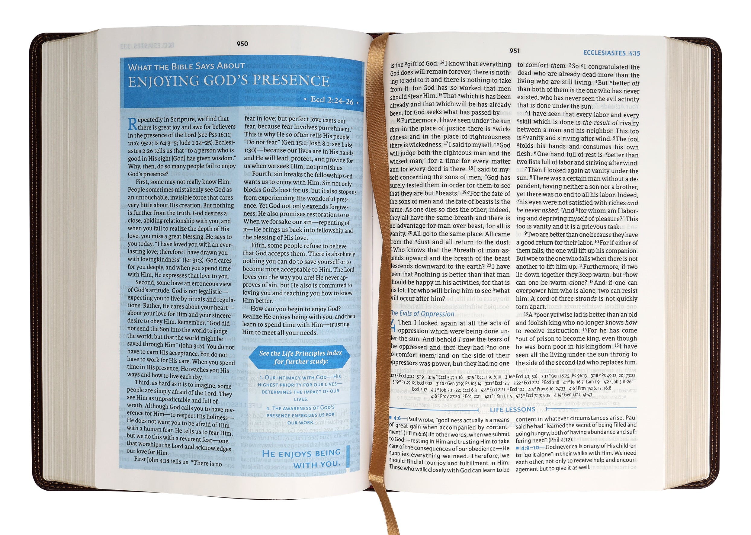 NASB Charles F Stanley Life Principles Bible Burgundy (2nd Edition)