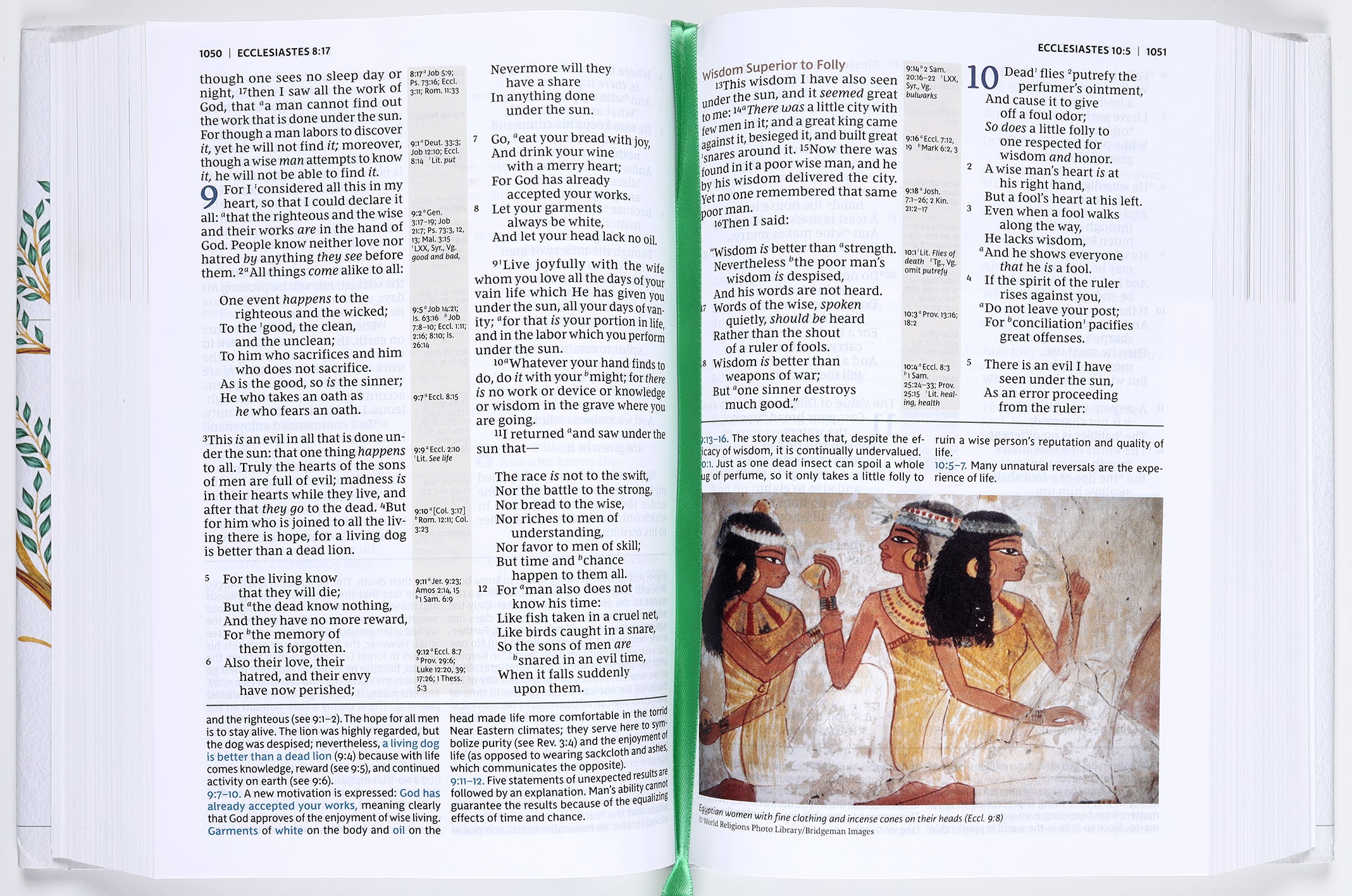 NKJV Evangelical Study Bible (Red Letter Edition)