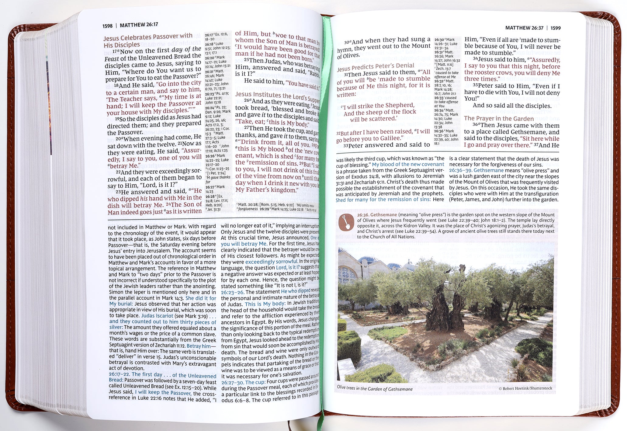 NKJV Evangelical Study Bible Brown (Red Letter Edition)