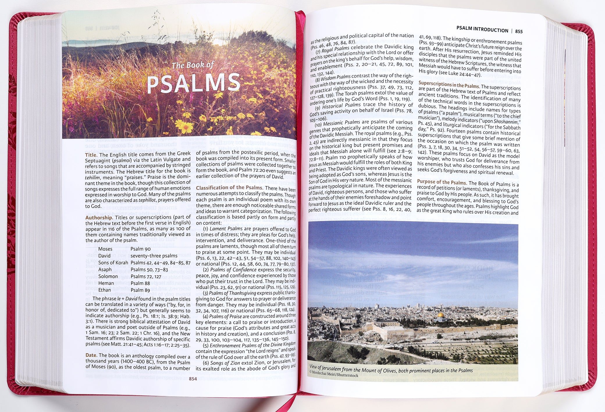 NKJV Evangelical Study Bible Rose (Red Letter Edition)