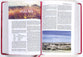 NKJV Evangelical Study Bible Rose (Red Letter Edition)
