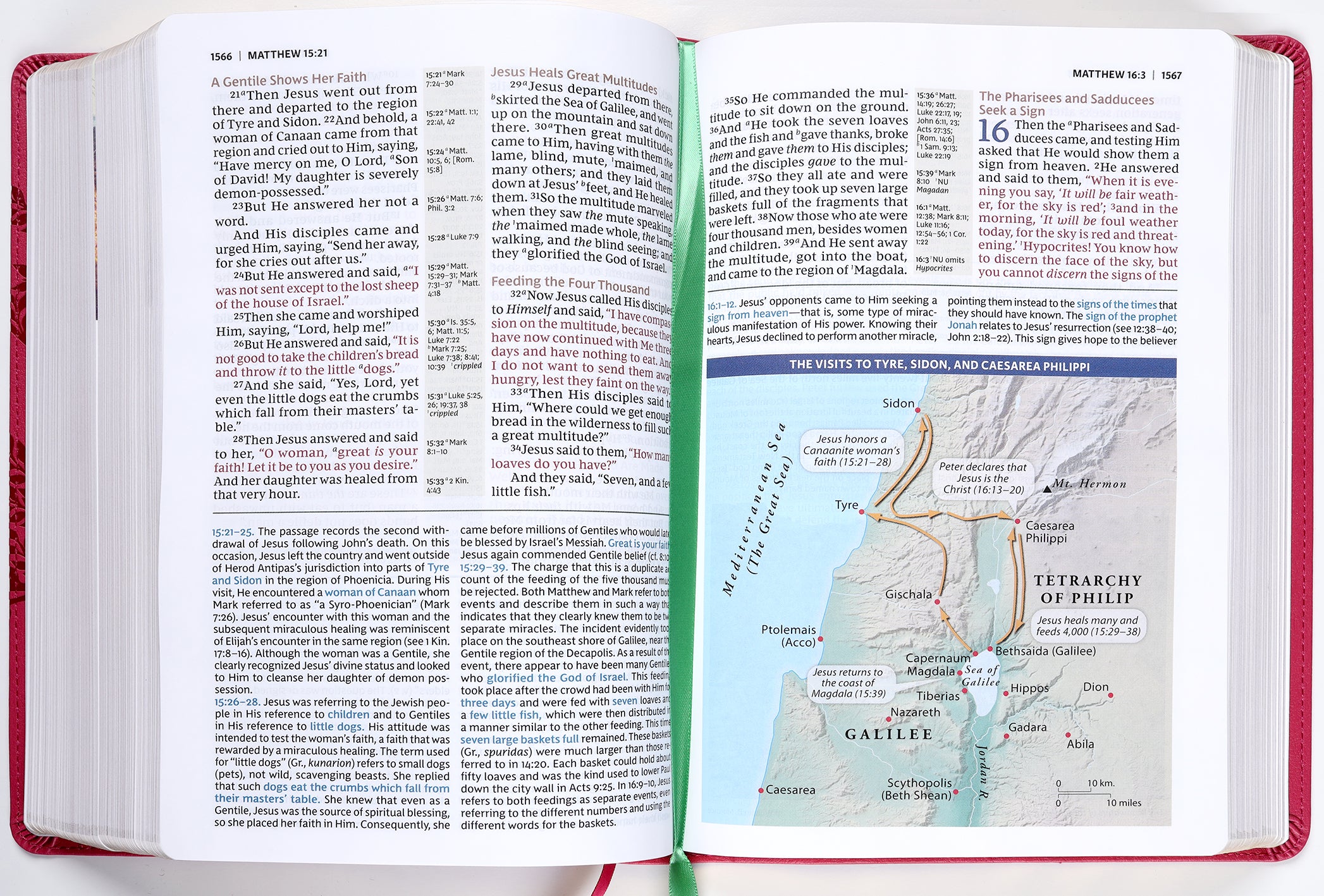 NKJV Evangelical Study Bible Rose (Red Letter Edition)