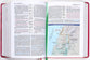 NKJV Evangelical Study Bible Rose (Red Letter Edition)