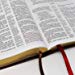 NKJV Reference Bible Brown Verse By Verse (Red Letter Edition)