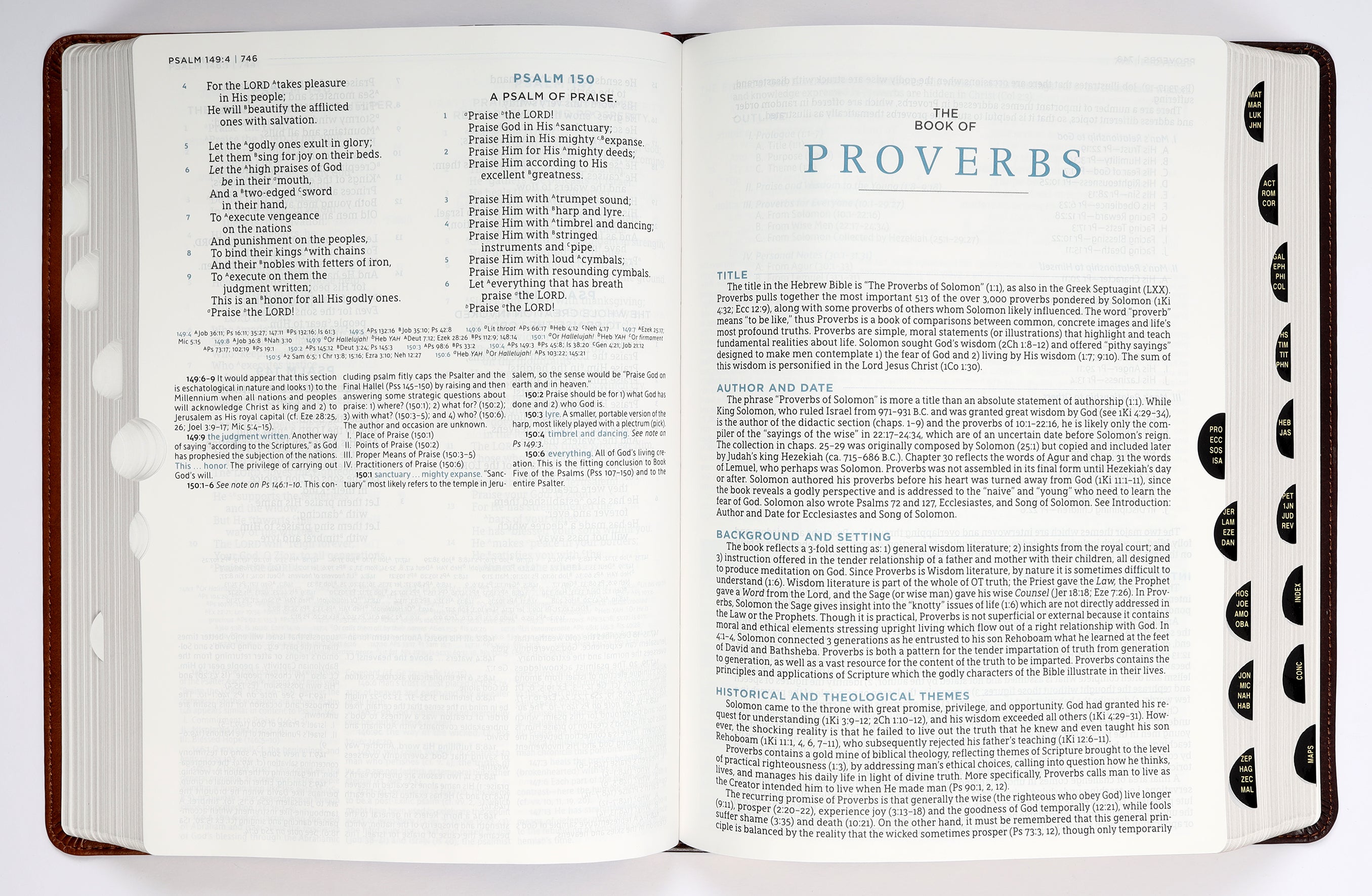 NASB Macarthur Study Bible 2nd Edition Brown Indexed