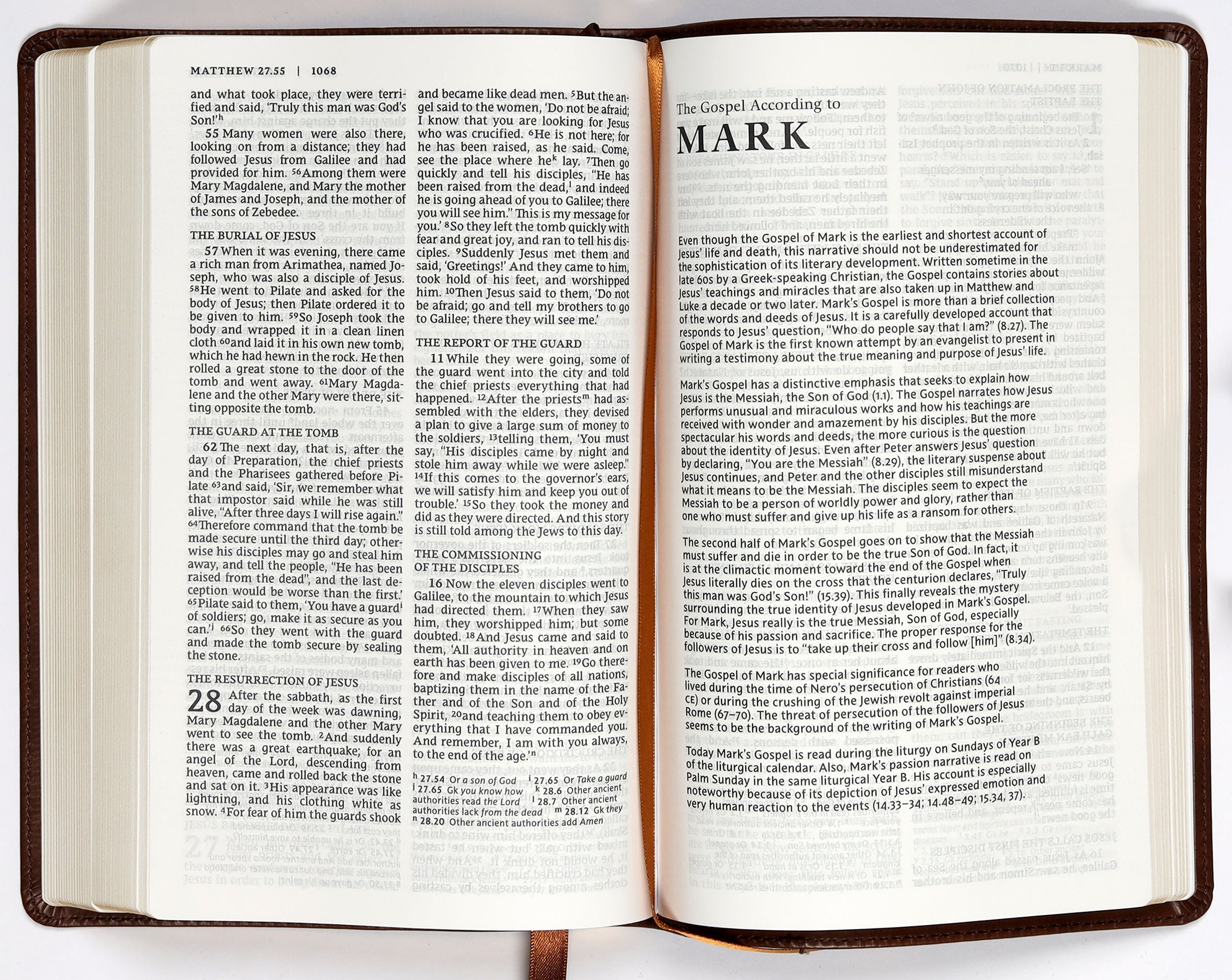 NRSV Catholic Bible Gift Edition Brown (Anglicised)