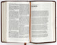 NRSV Catholic Bible Gift Edition Brown (Anglicised)