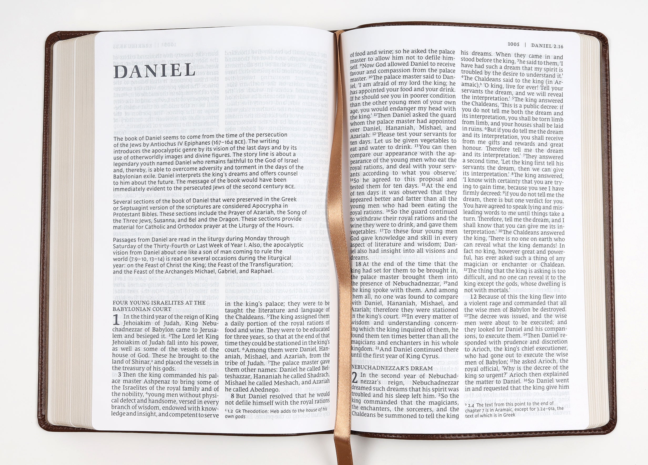 NRSV Catholic Bible Large Print Brown