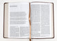 NRSV Catholic Bible Large Print Brown