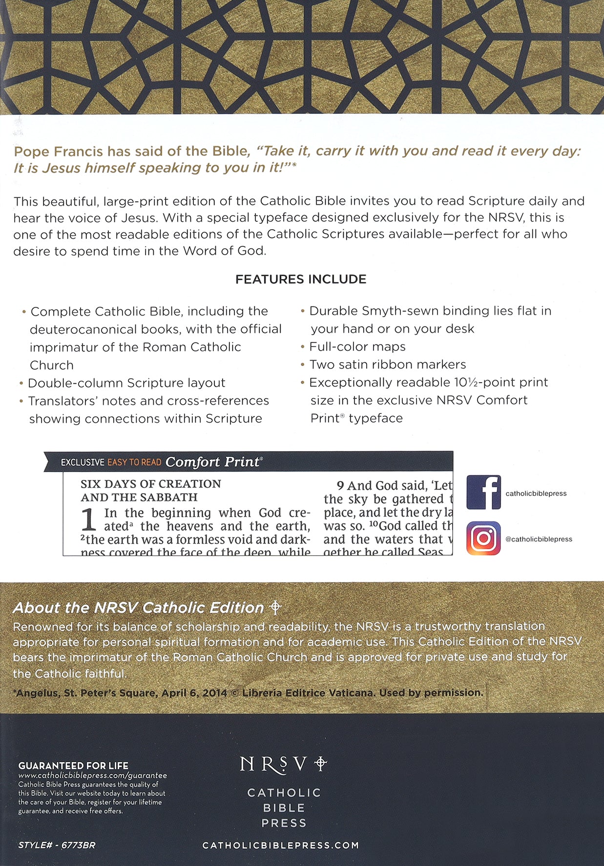 NRSV Catholic Bible Large Print Brown