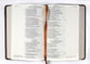 NRSV Catholic Bible Journal Edition Brown (Anglicised)