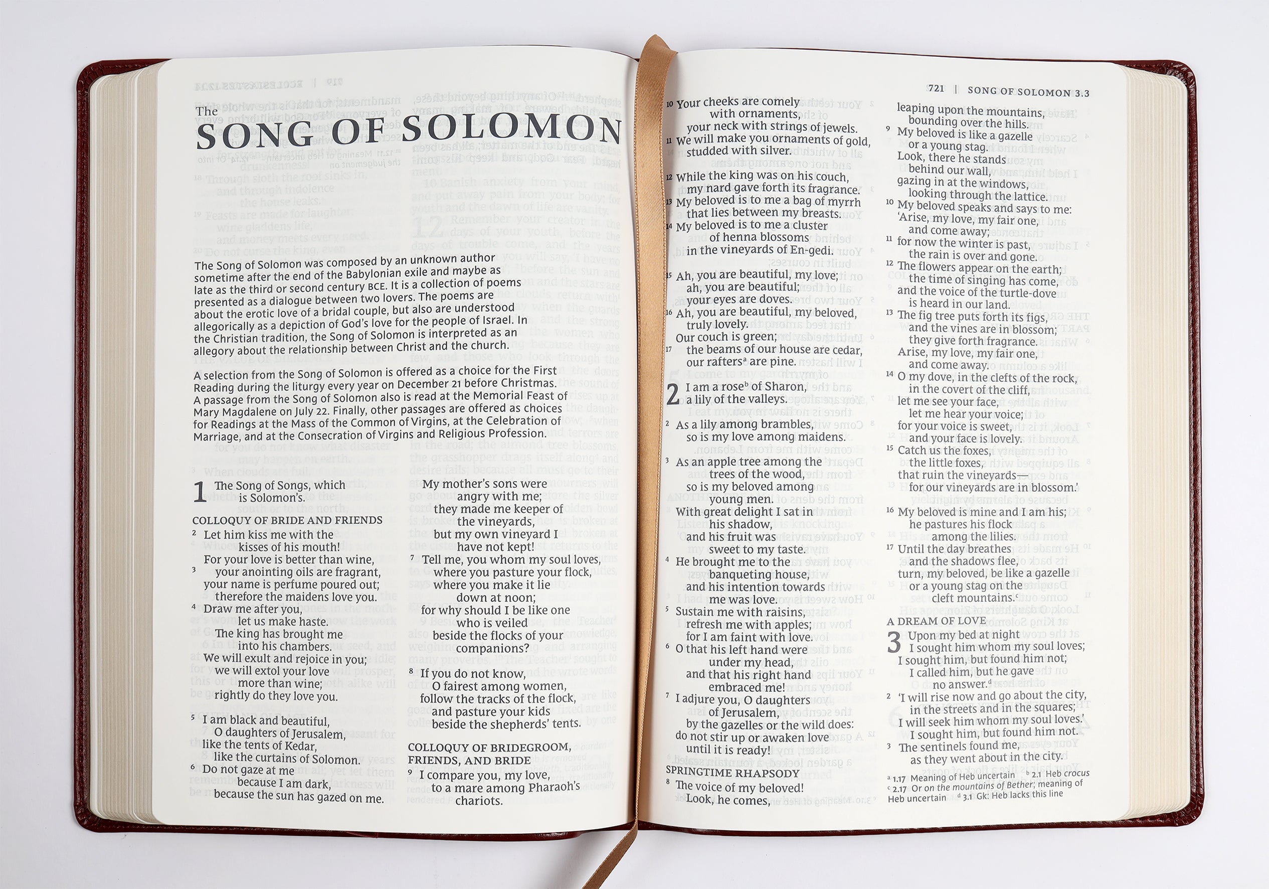 NRSV Catholic Bible Large Print Red