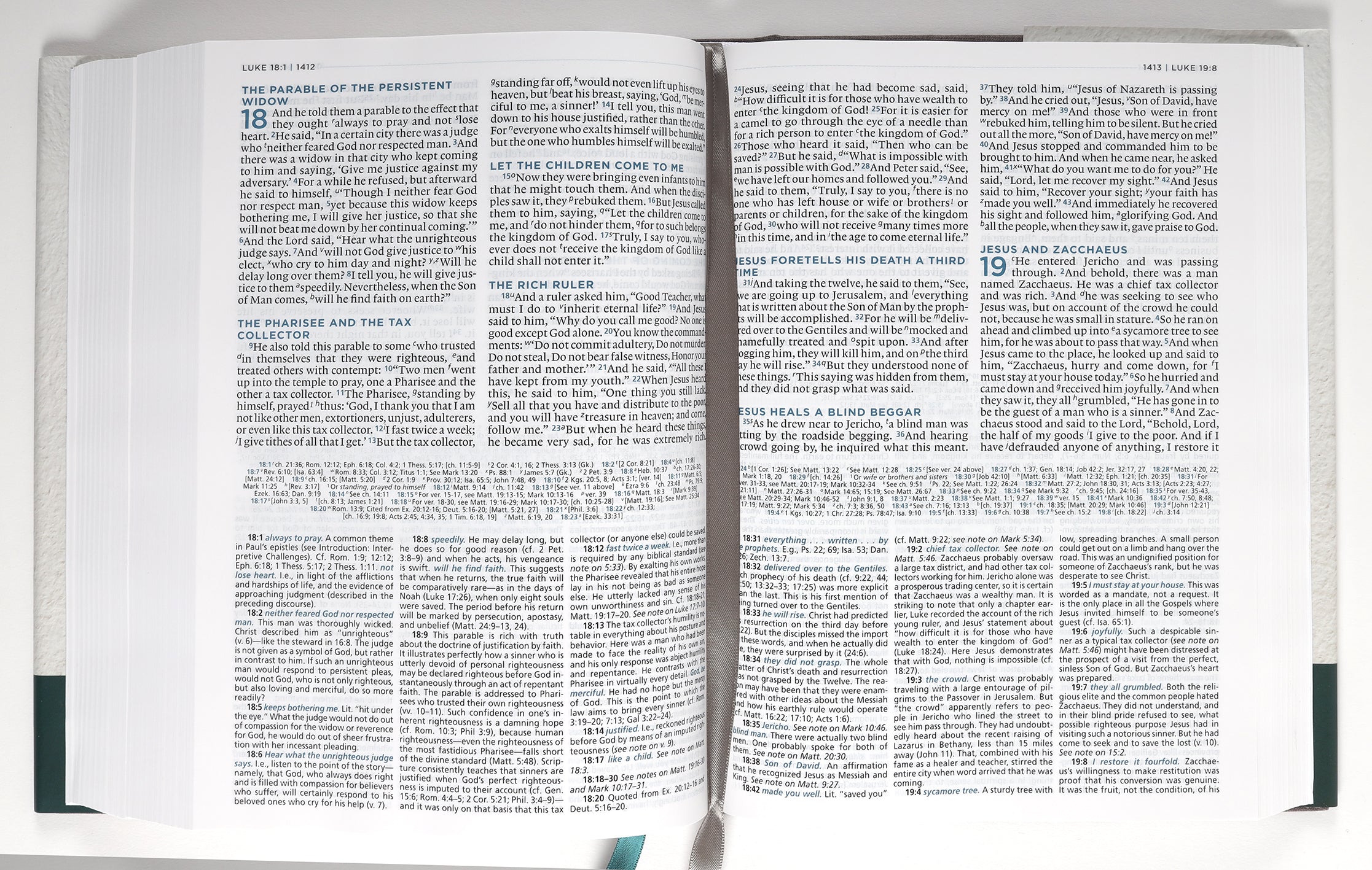 ESV Macarthur Study Bible 2nd Edition (Black Letter Edition)