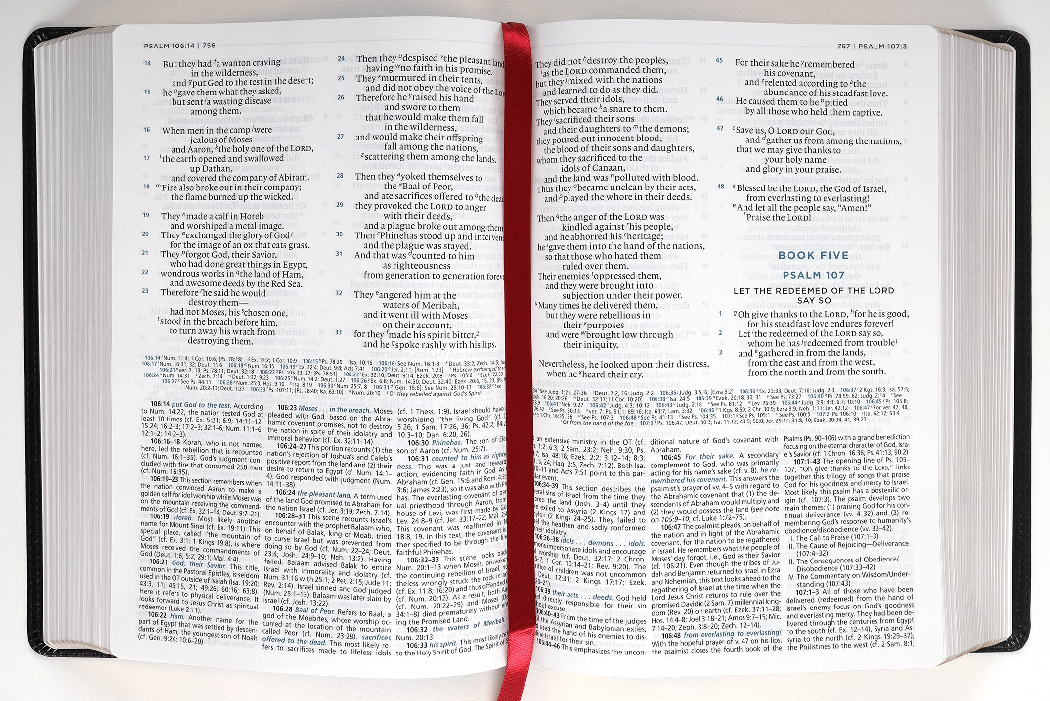 ESV Macarthur Study Bible 2nd Edition Black (Black Letter Edition)