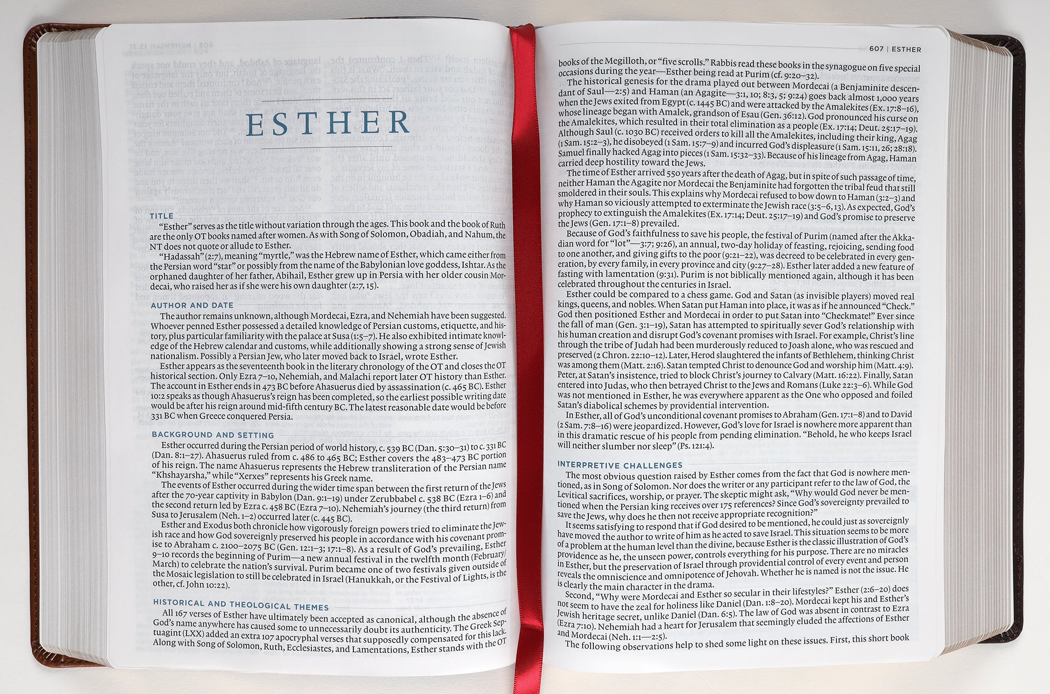 ESV Macarthur Study Bible 2nd Edition Brown (Black Letter Edition)