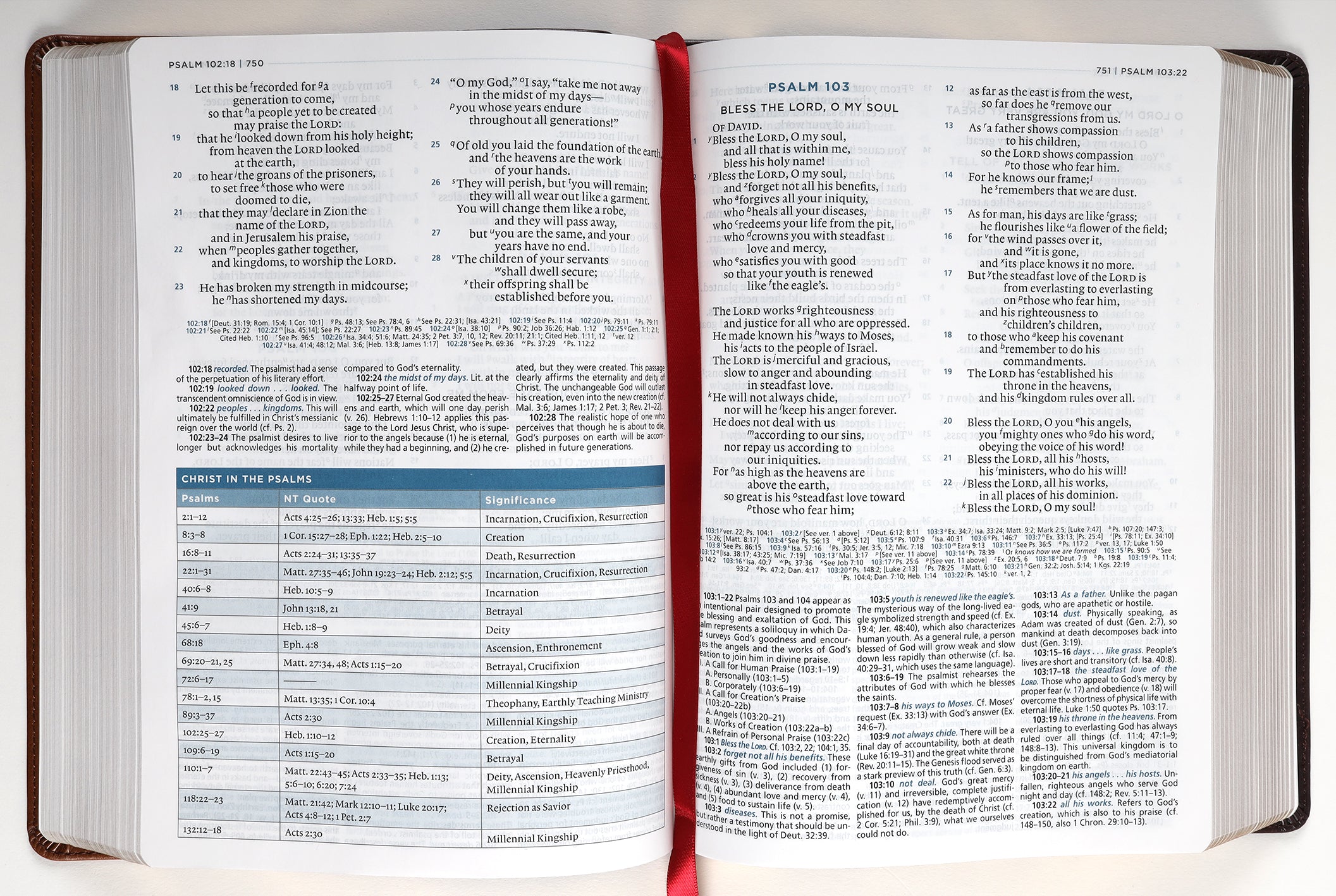 ESV Macarthur Study Bible 2nd Edition Brown (Black Letter Edition)
