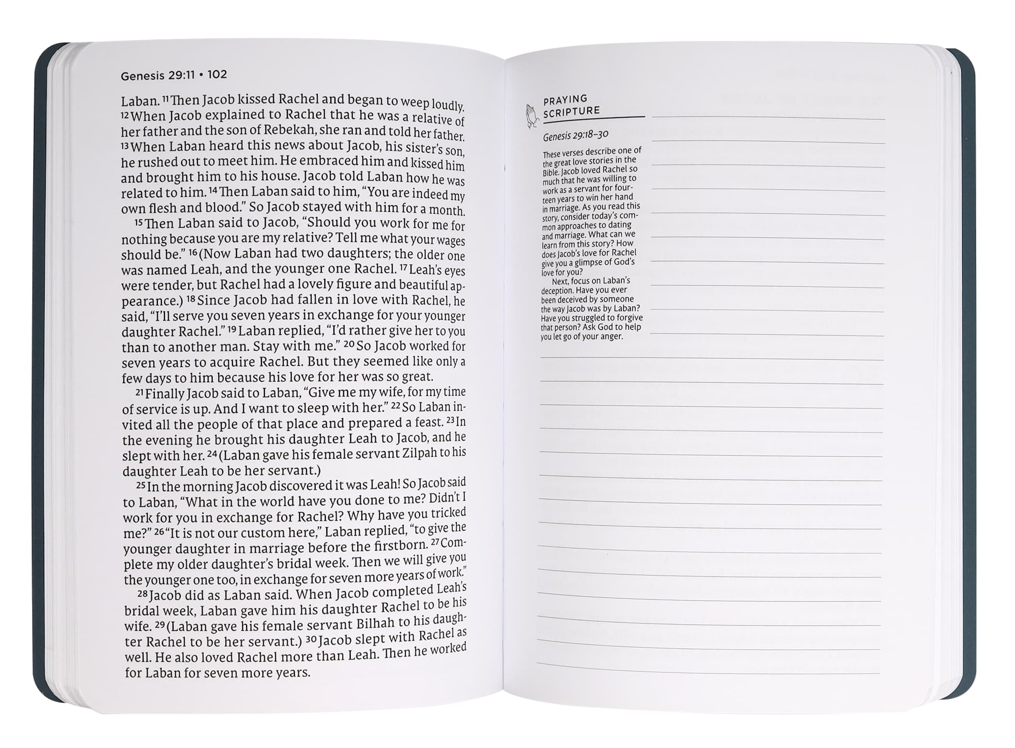 NET Abide Journal Genesis