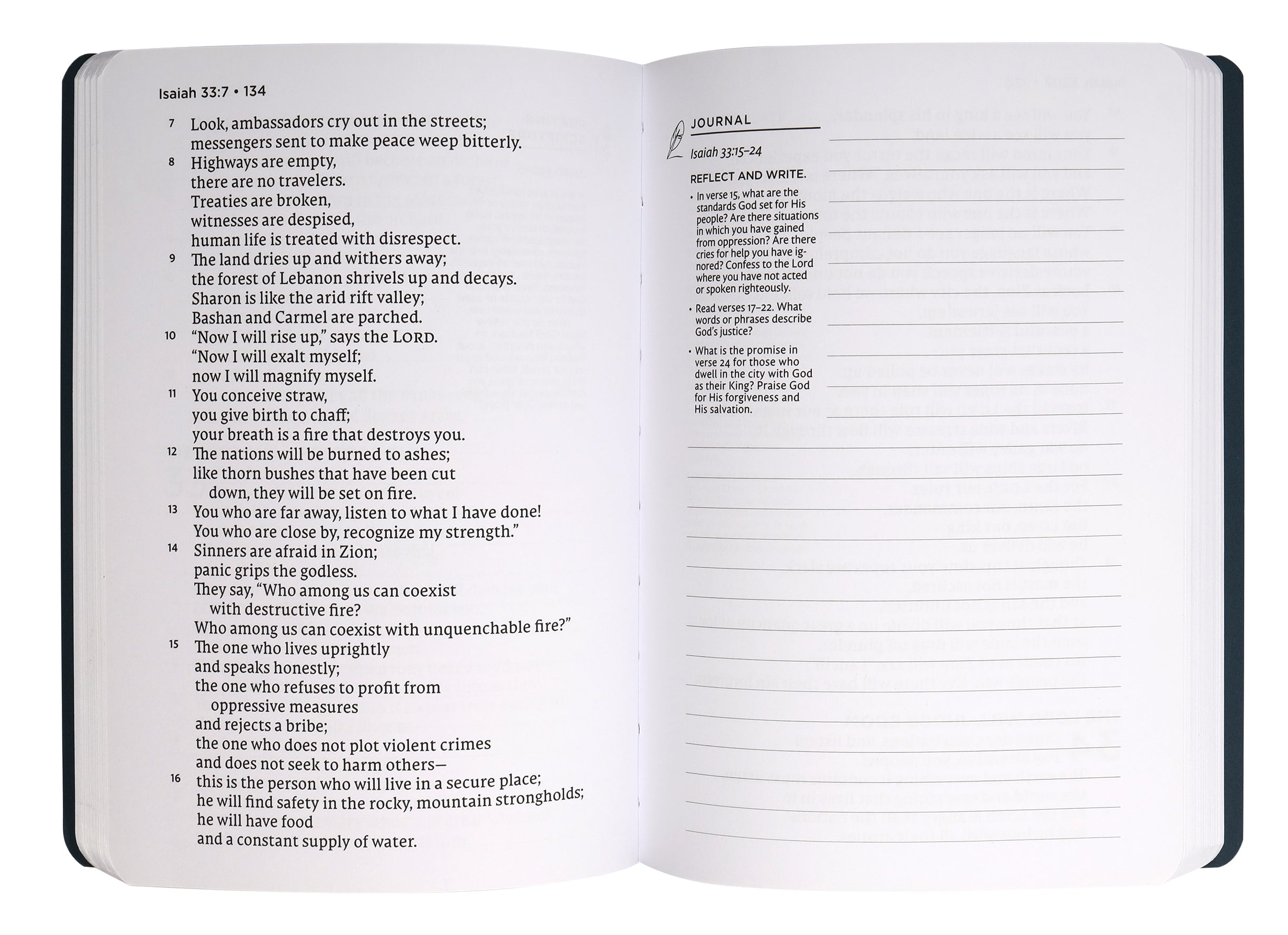 NET Abide Journal Isaiah