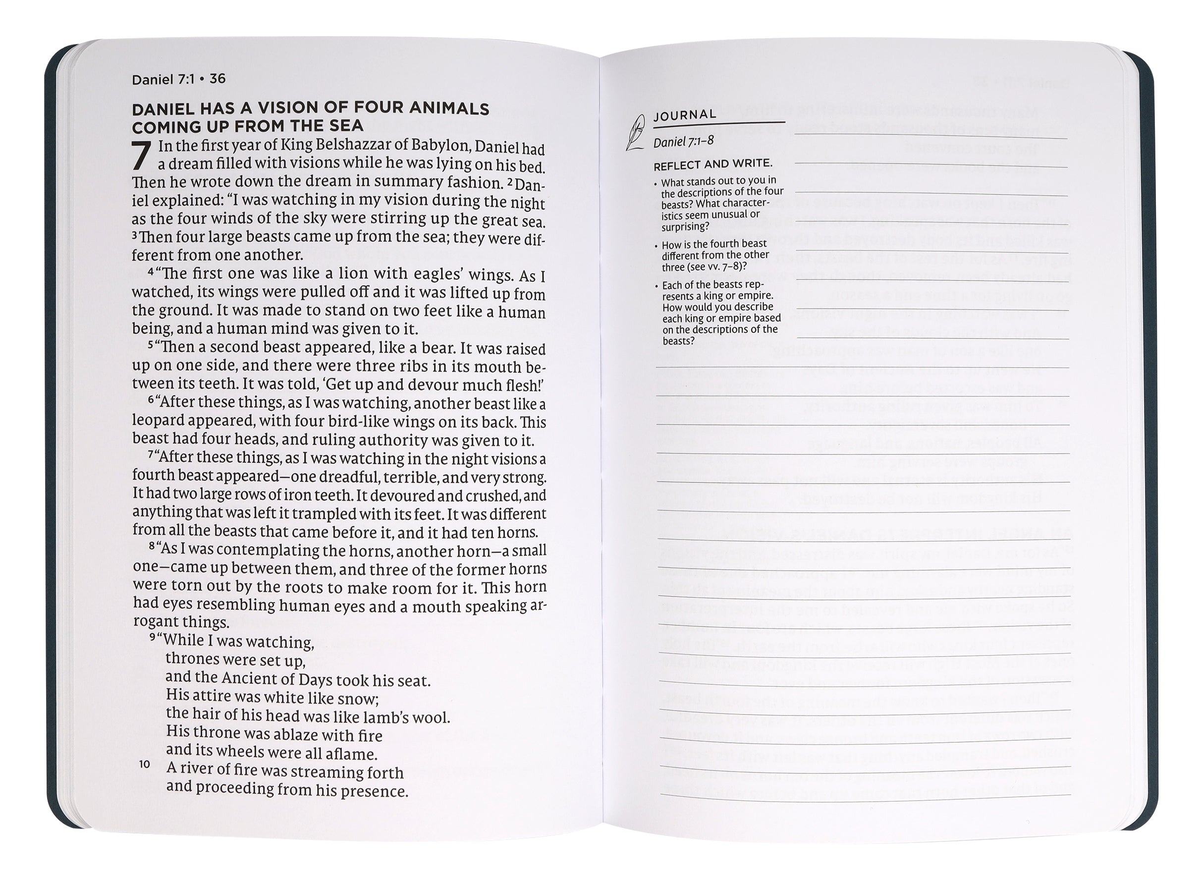NET Abide Journal Daniel