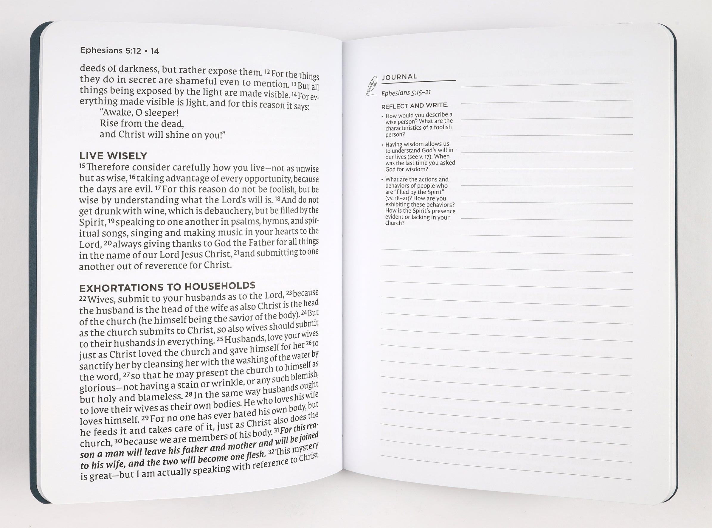 NET Abide Journal Ephesians