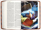 ICB Holy Bible Brown