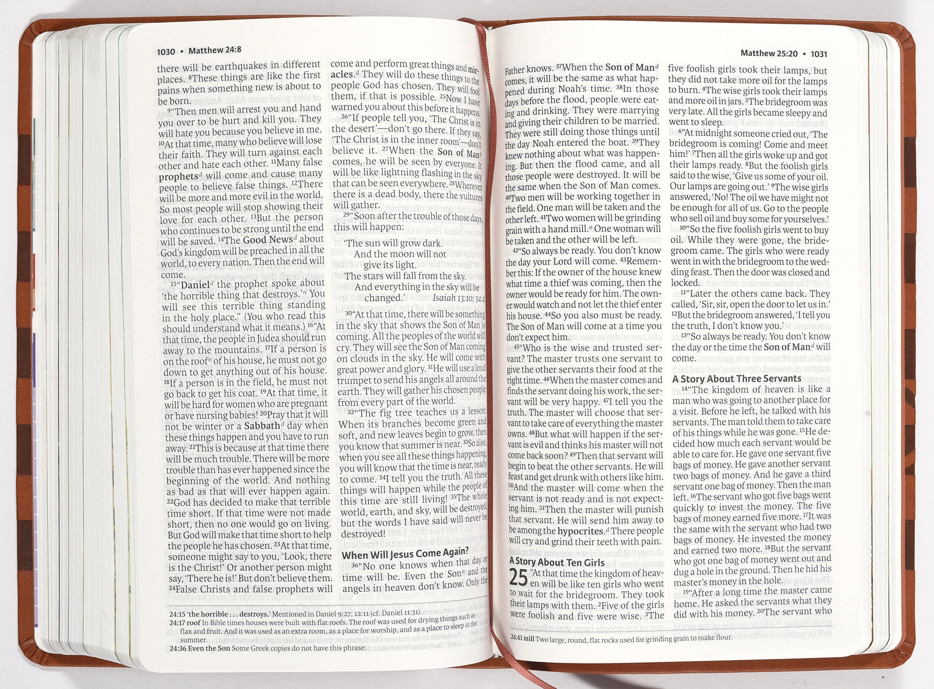 ICB Holy Bible Brown