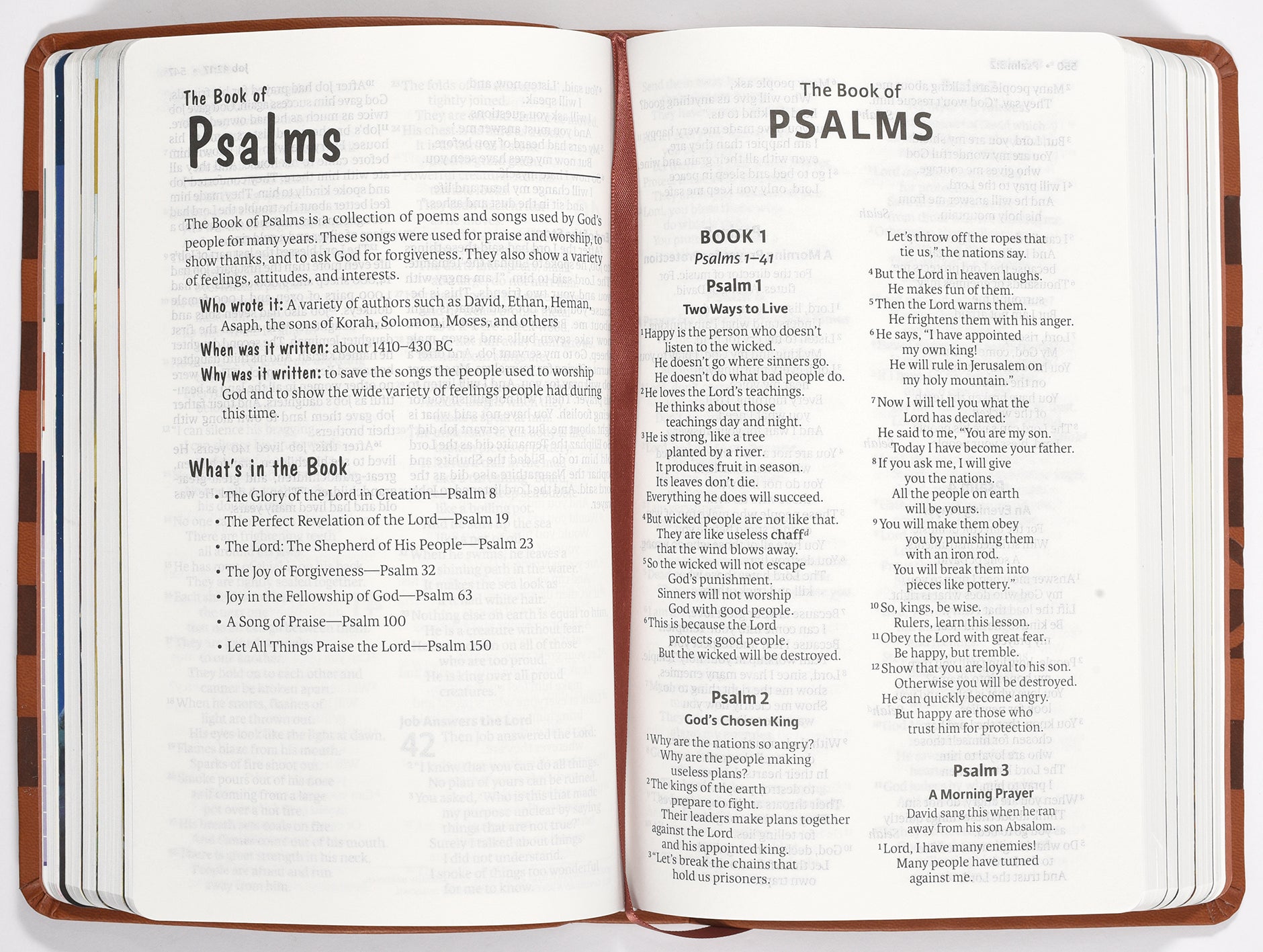 ICB Holy Bible Brown