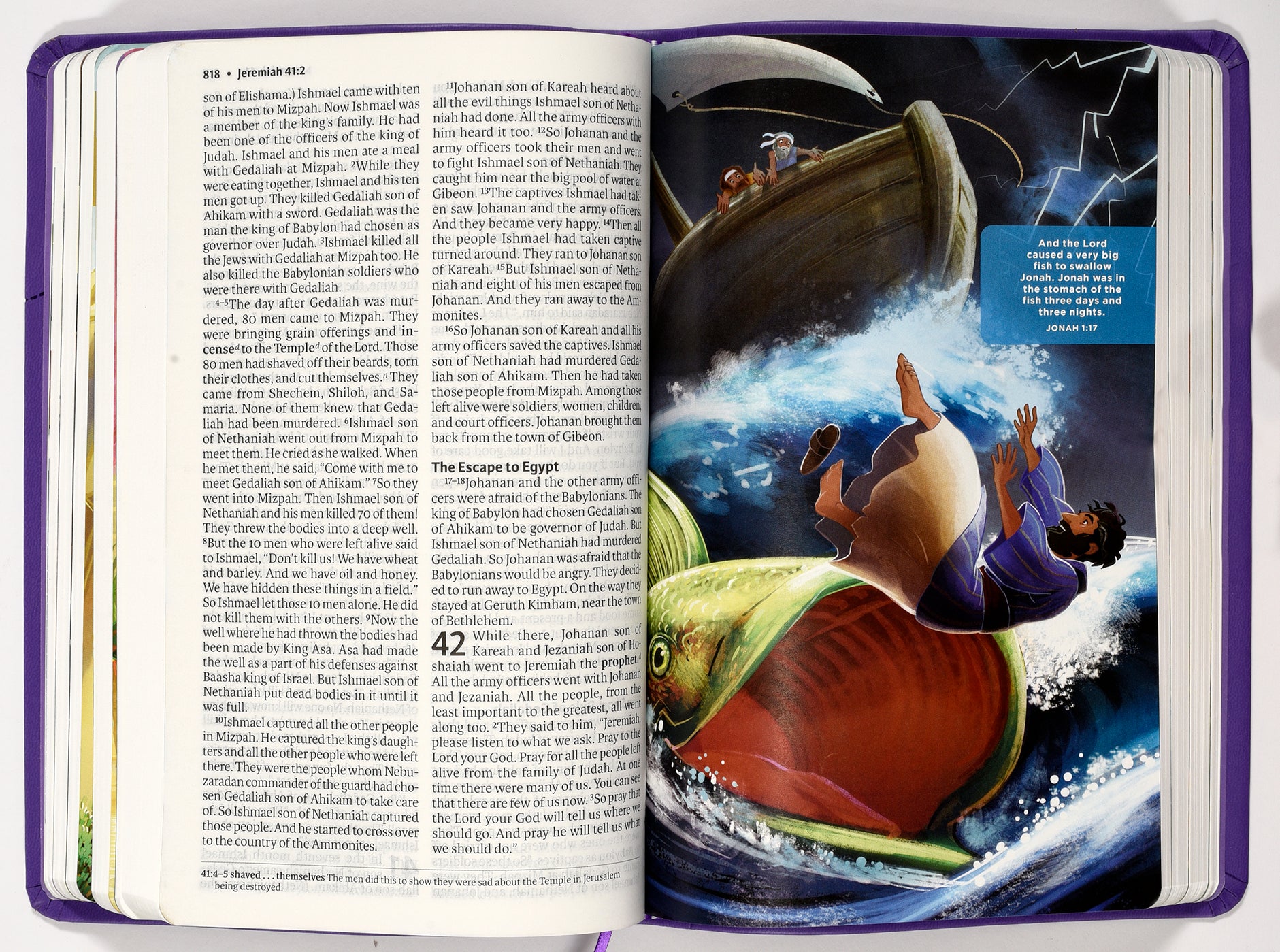 ICB Holy Bible Purple