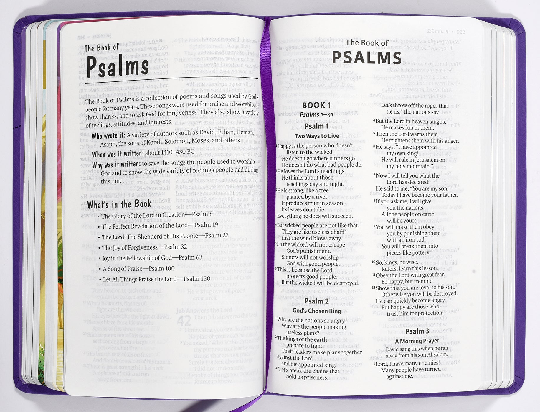 ICB Holy Bible Purple