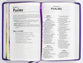 ICB Holy Bible Purple