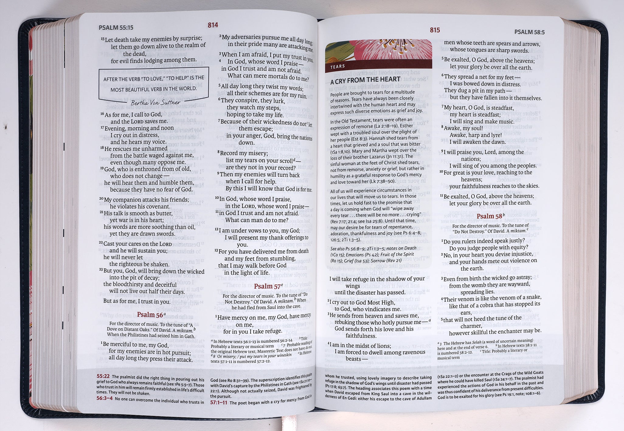 NIV Woman's Study Bible Blue