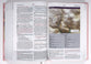 NIV Woman's Study Bible Pink