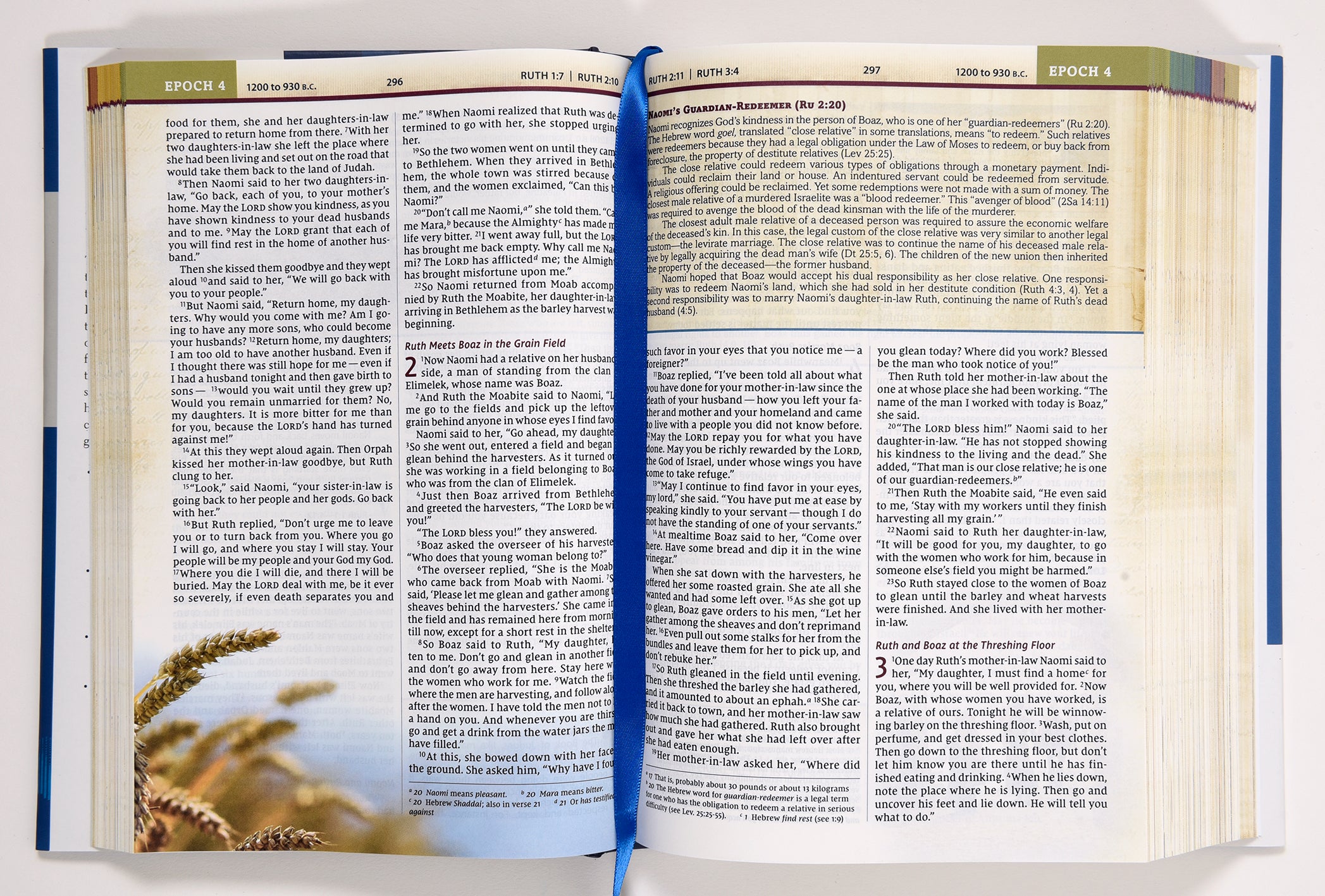 NIV Chronological Study Bible