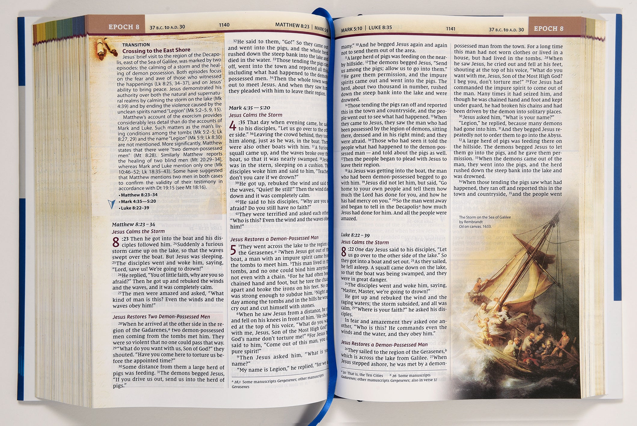 NIV Chronological Study Bible Black