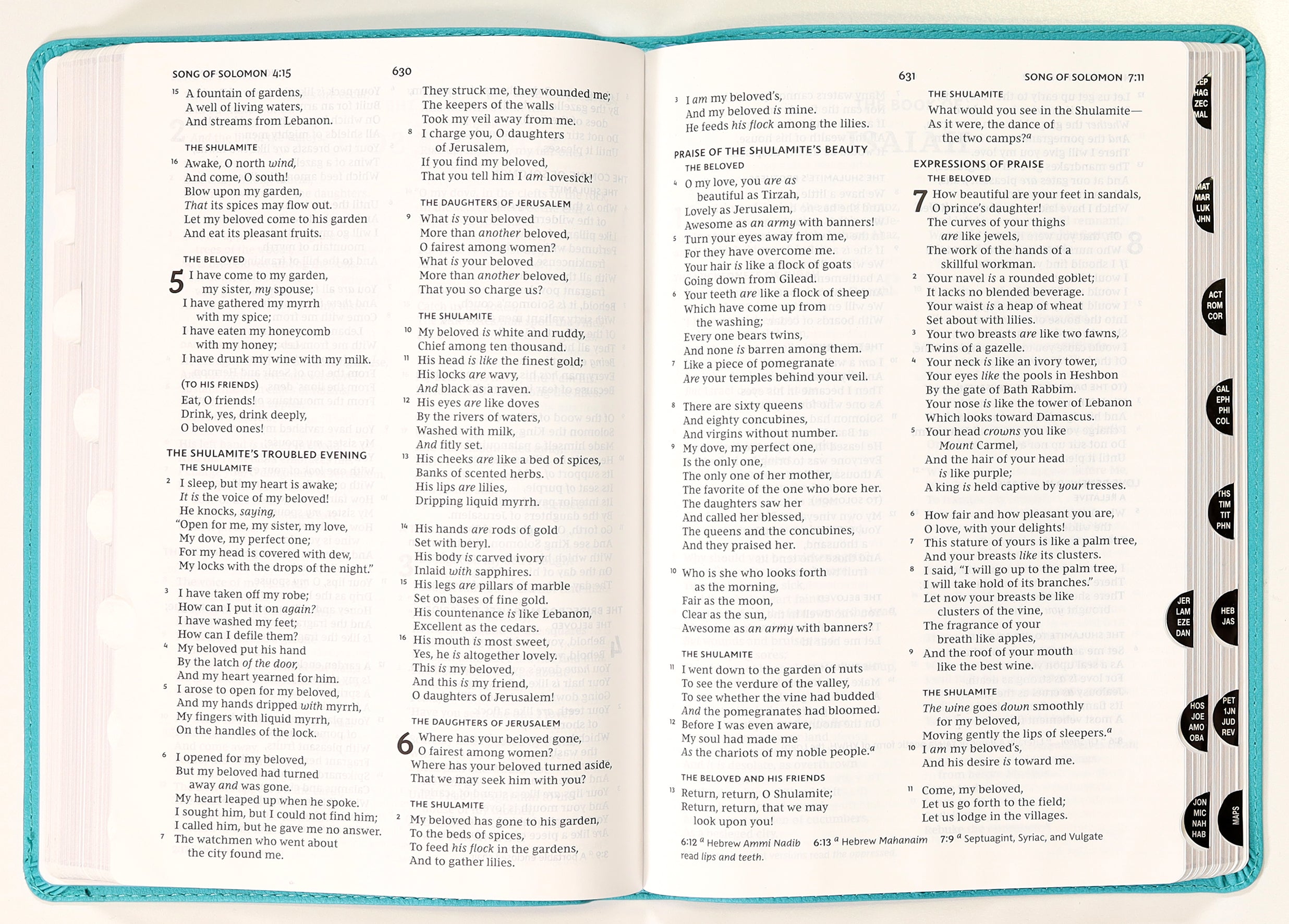 NKJV Thinline Bible Verse Art Cover Collection Teal Thumb Indexed (Red Letter Edition)