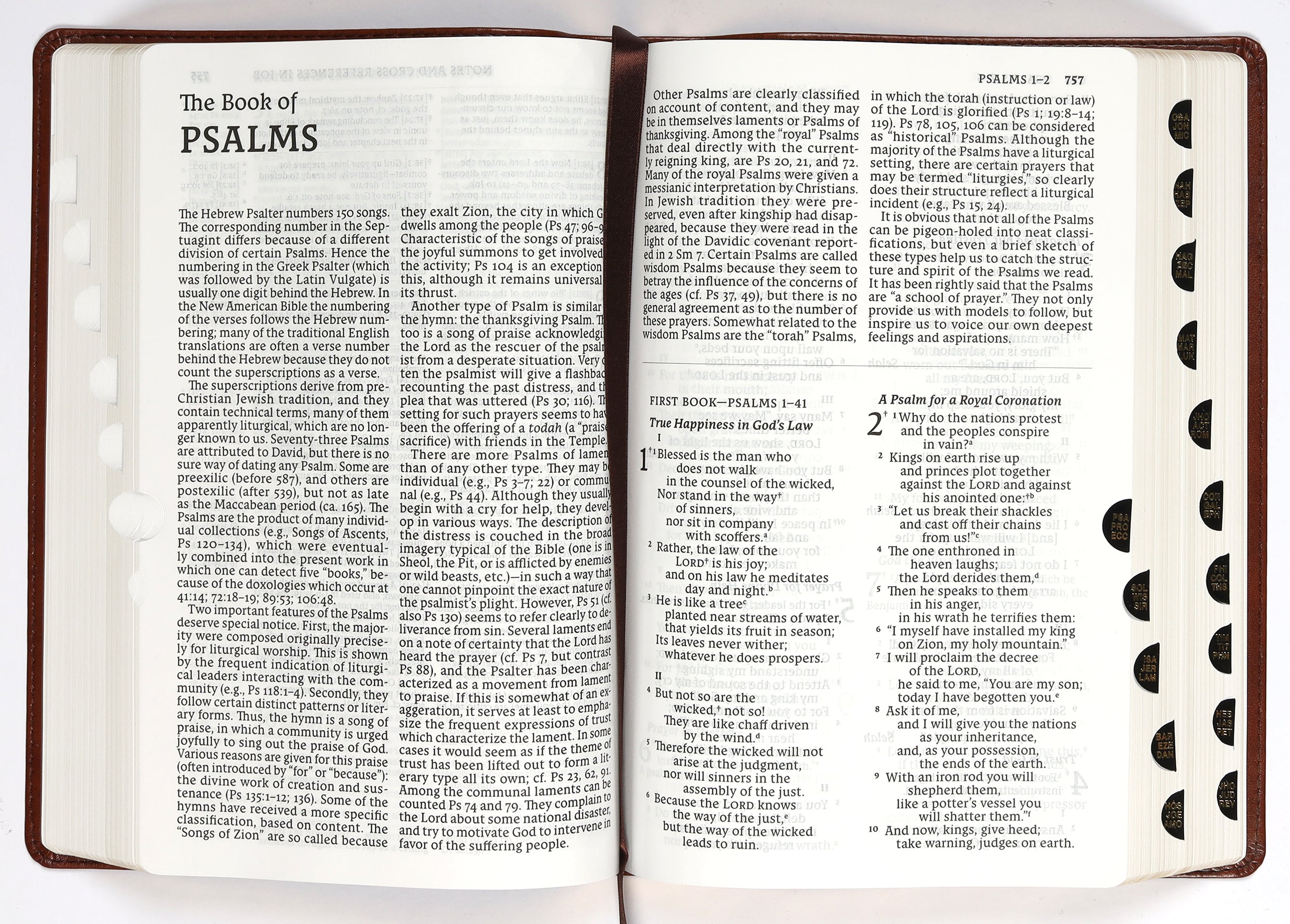 Nabre Catholic Bible Revised Edition Large Print Brown Thumb Indexed