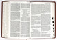 Nabre Catholic Bible Revised Edition Large Print Brown Thumb Indexed