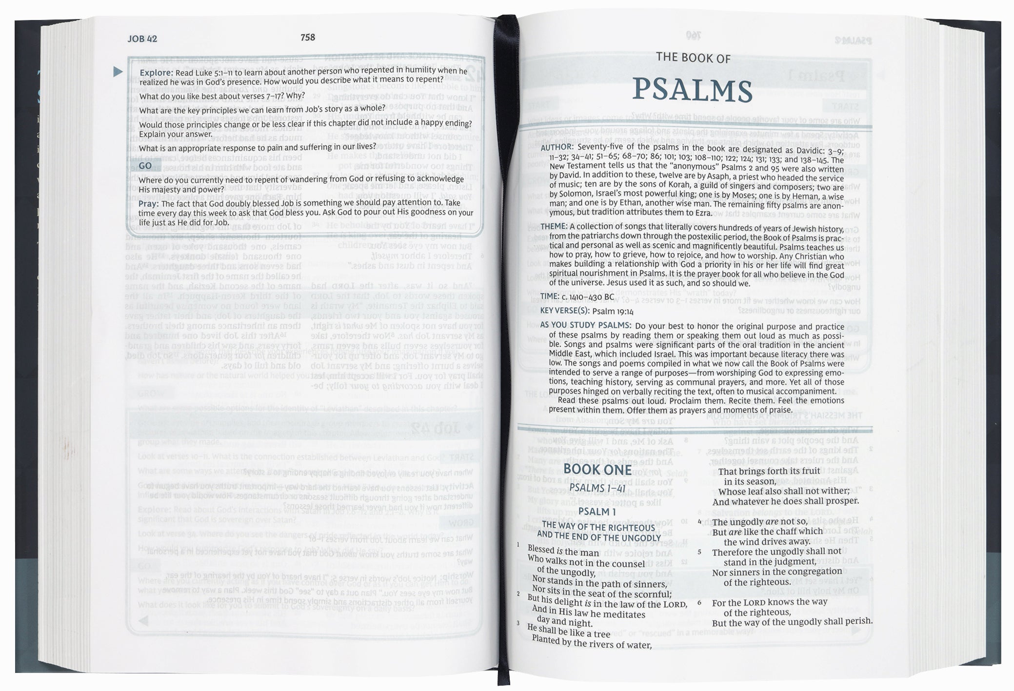 NKJV the Bible Study Bible