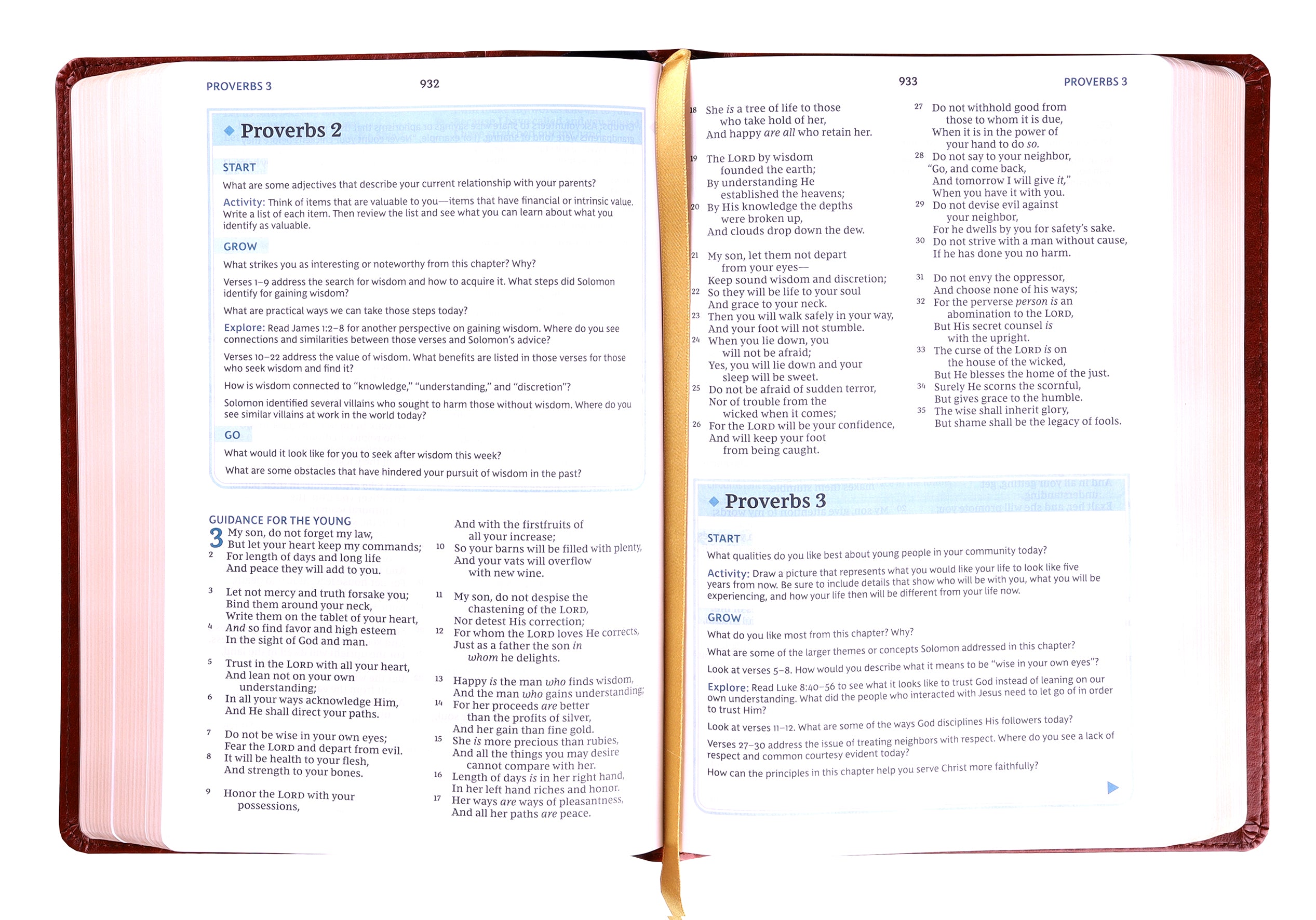 NKJV the Bible Study Bible Brown