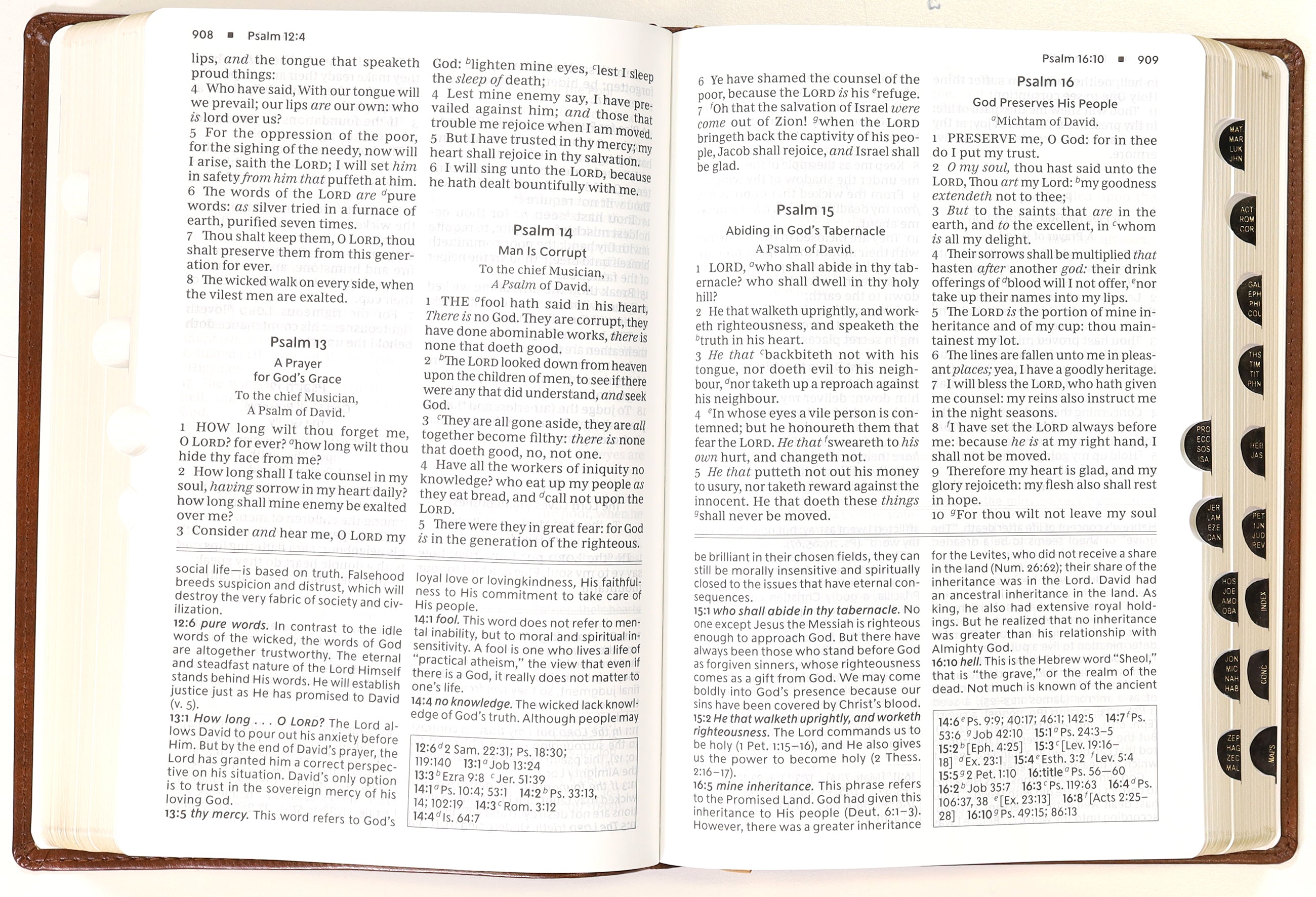KJV Foundation Study Bible Large Print Brown Thumb Indexed (Red Letter Edition)