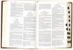 KJV Foundation Study Bible Large Print Brown Thumb Indexed (Red Letter Edition)