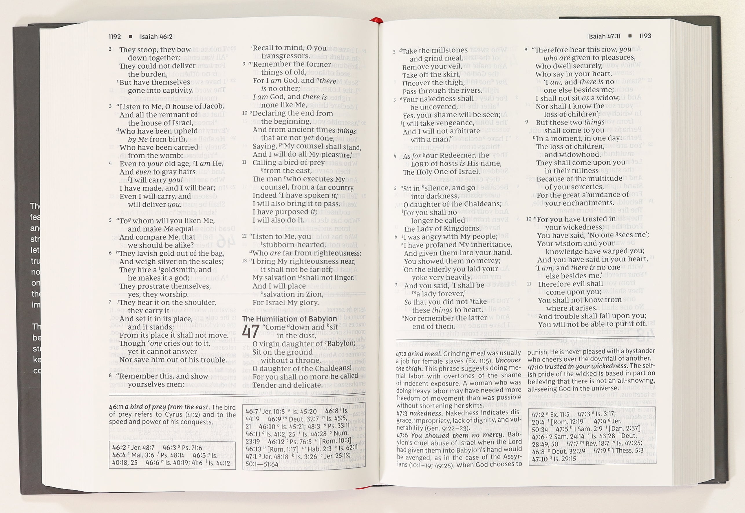 NKJV Foundation Study Bible Large Print (Red Letter Edition)