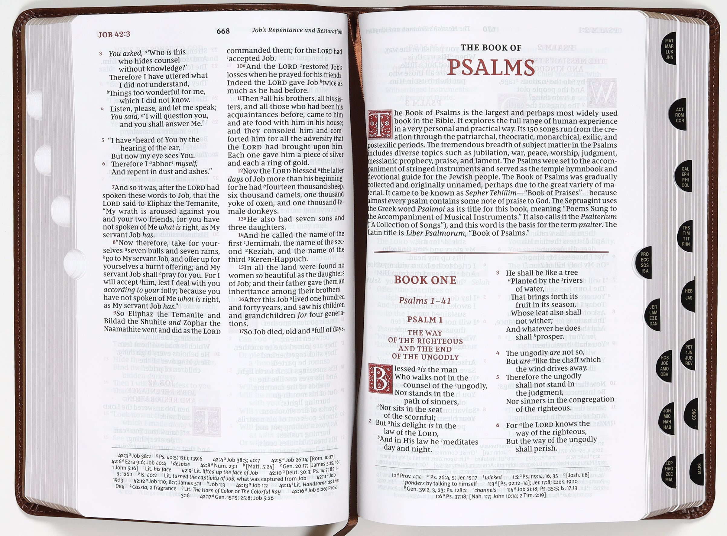 NKJV Personal Size Reference Bible Sovereign Collection Brown Thumb Indexed (Red Letter Edition)