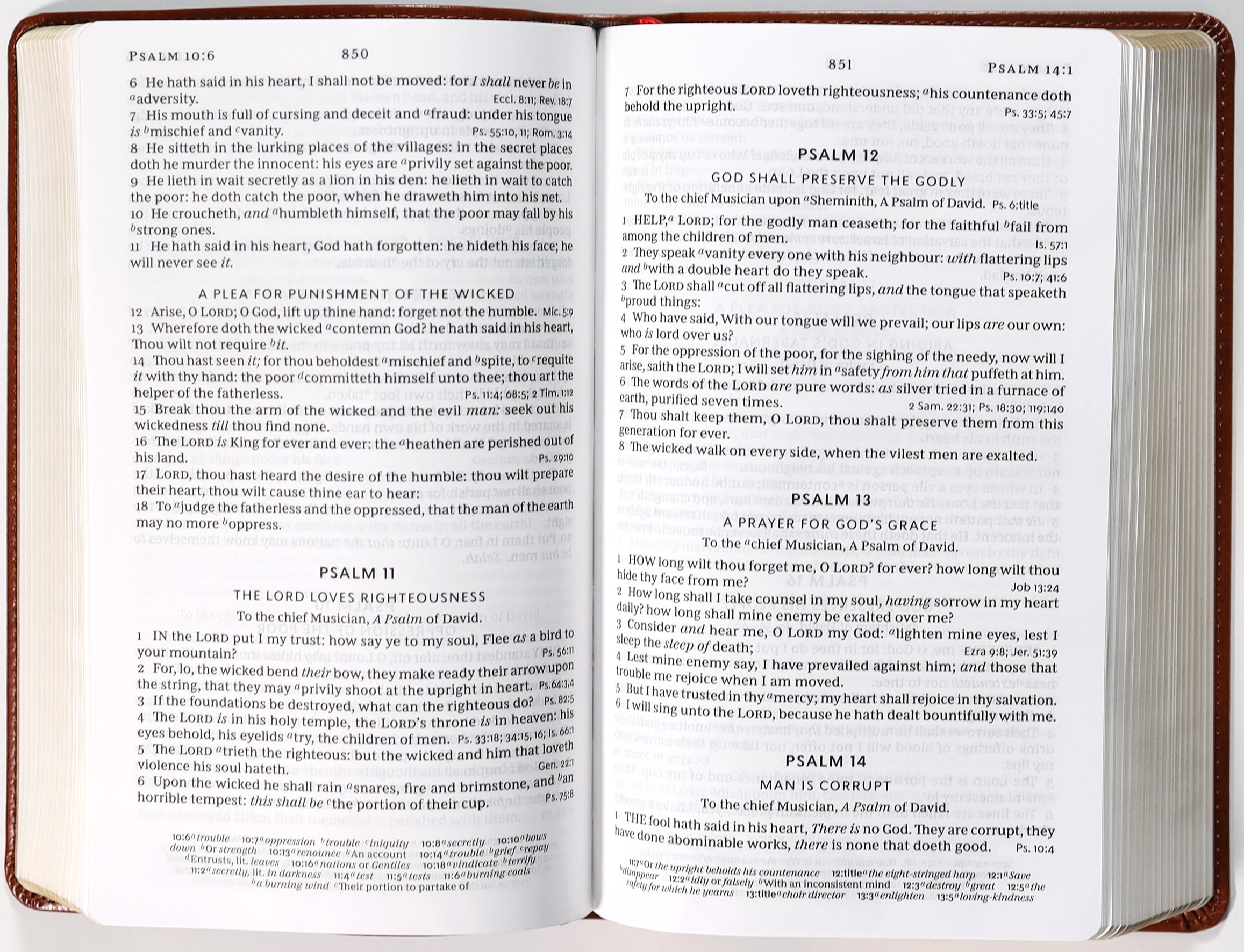 KJV End-Of-Verse Reference Bible Personal Size Large Print Brown (Red Letter Edition)