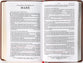 KJV End-Of-Verse Reference Bible Personal Size Large Print Brown (Red Letter Edition)