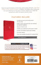 KJV End-Of-Verse Reference Bible Personal Size Large Print Pink (Red Letter Edition)